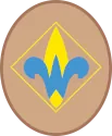 Cub Scout Webelos rank insignia for 4th grade